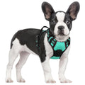 rabbitgoo Dog Harness No Pull with 2 Leash Clips, Adjustable Soft Padded, Reflective Oxford No Choke Pet Vest with Easy Control Handle for Medium Sized Dogs, Black, M