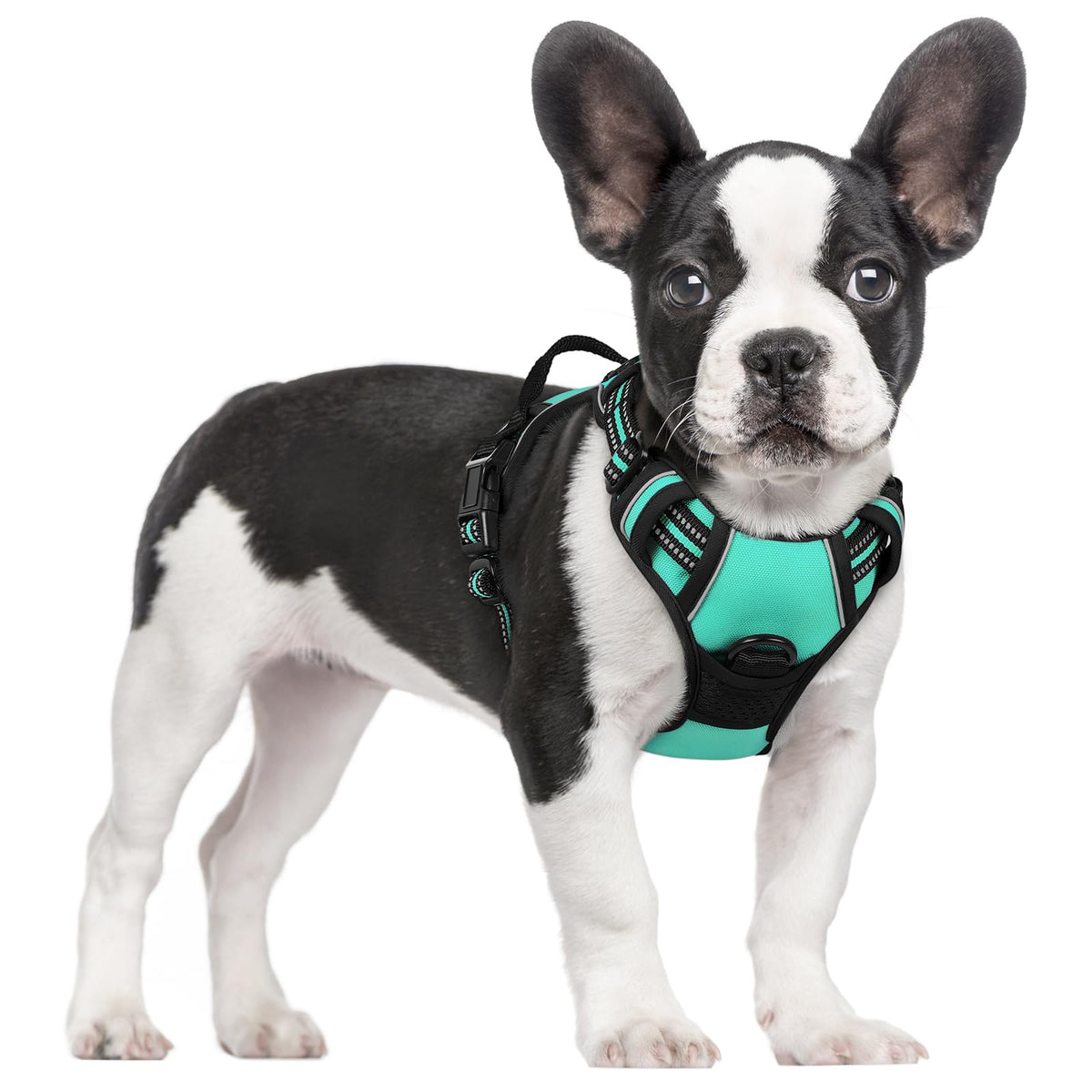 rabbitgoo Dog Harness No Pull with 2 Leash Clips, Adjustable Soft Padded, Reflective Oxford No Choke Pet Vest with Easy Control Handle for Large Dogs, Black, L