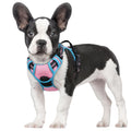 rabbitgoo Dog Harness No Pull with 2 Leash Clips, Adjustable Soft Padded, Reflective Oxford No Choke Pet Vest with Easy Control Handle for Medium Sized Dogs, Black, M