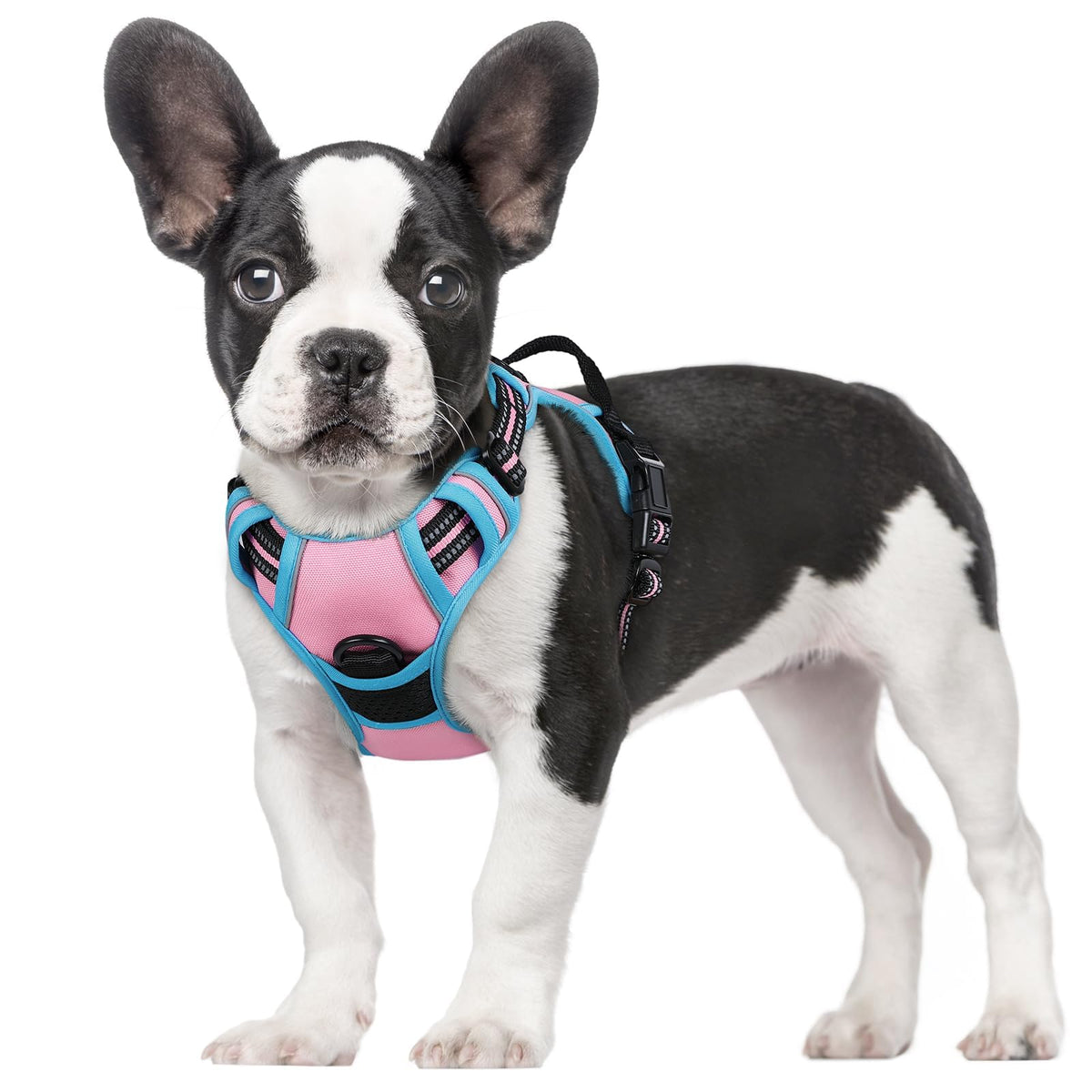 rabbitgoo Dog Harness No Pull with 2 Leash Clips, Adjustable Soft Padded, Reflective Oxford No Choke Pet Vest with Easy Control Handle for Large Dogs, Black, L