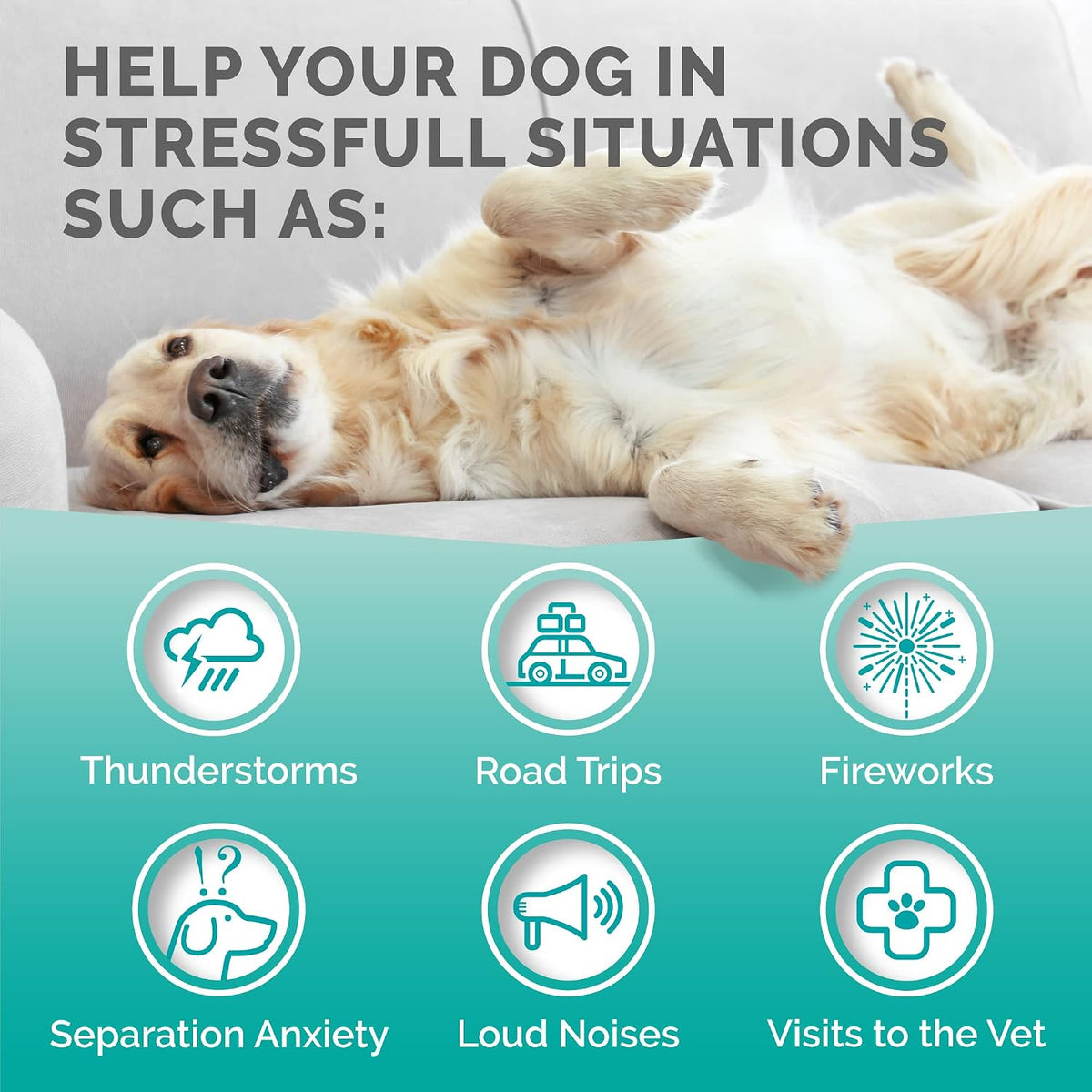 PREMIUM CARE Calming Chews for Dogs, Made in USA - Helps with Dog Anxiety, Separation, Barking, Stress Relief, Thunderstorms and More, 9.3 oz (264g), 120 Count