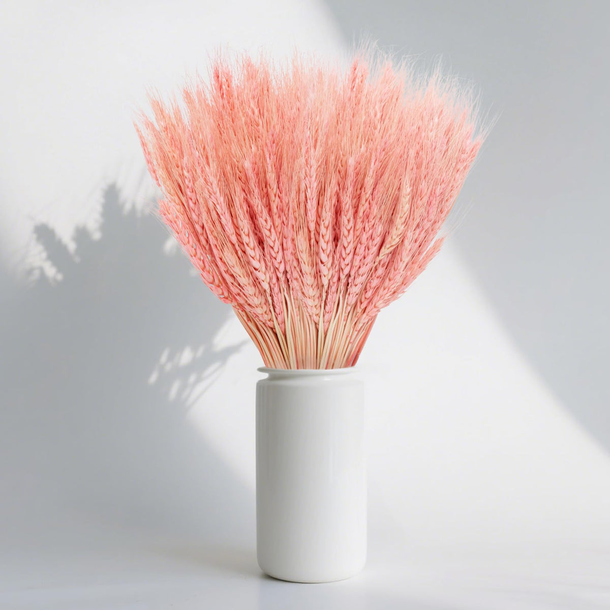 Sukh 100 Stems Dried Wheat Stalks - Boho Fall Decor for Home & Wedding