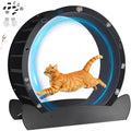 GTPLAYER Cat Wheels, 40" Diameter, Large Cat Exercise Wheel for Indoor Cats cat Treadmill Metal with Detachable Carpet & Teaser/Stickers, Ultra-Quiet Scroll Wheel with Latch, Safe and Stable Grey