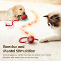 Automatic Ball for Small Dogs & Cats - Activated Moving Toy, Rechargeable, Self Play, Ball Toy with Long Tail Teaser