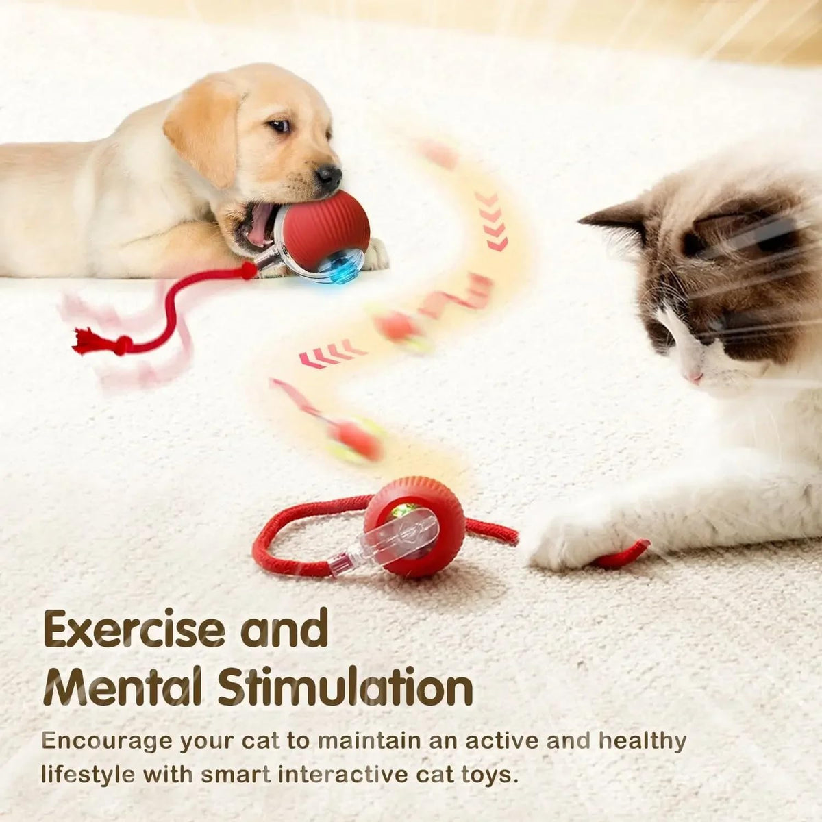 Automatic Ball for Small Dogs & Cats - Activated Moving Toy, Rechargeable, Self Play, Ball Toy with Long Tail Teaser