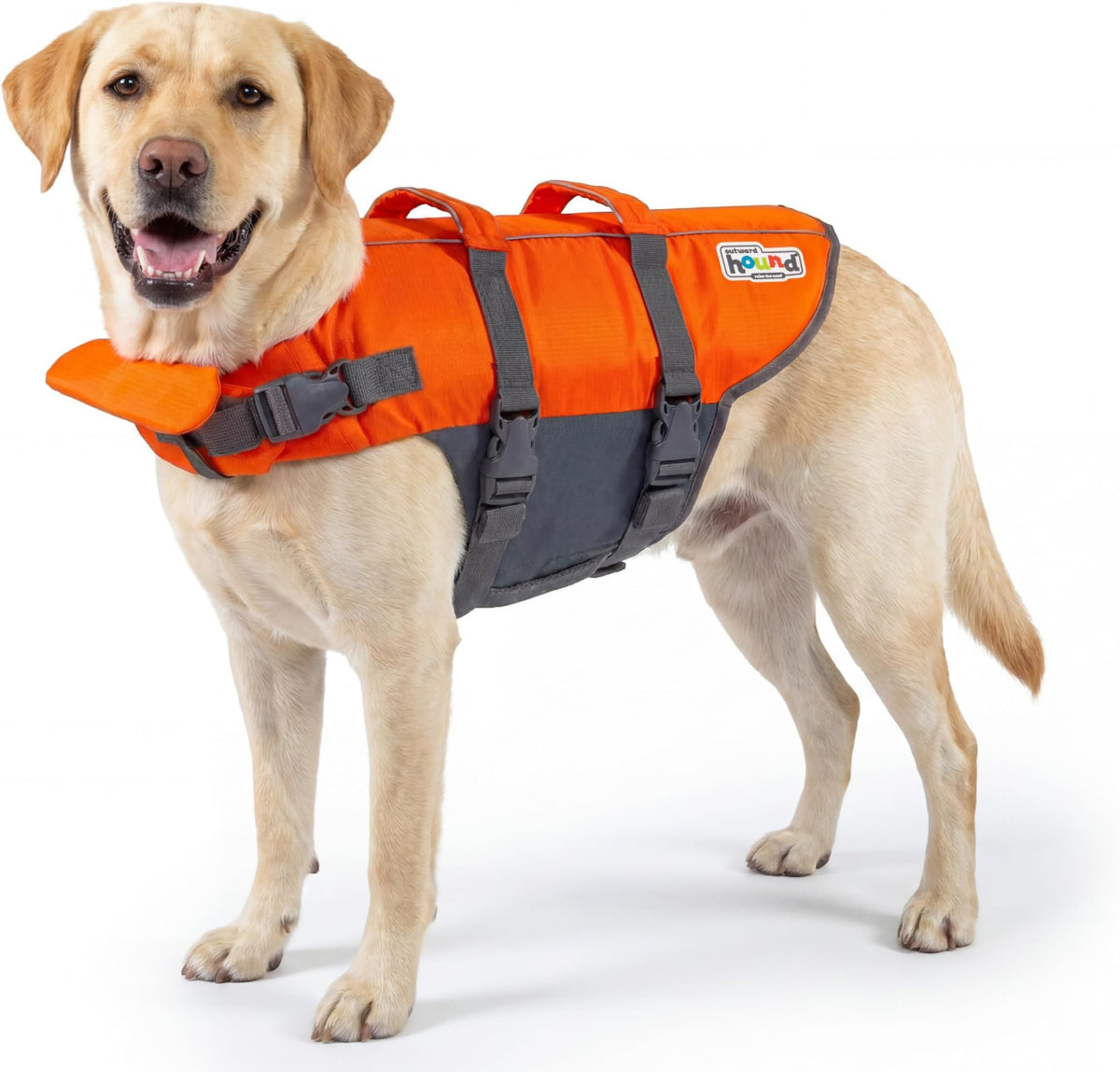 Outward Hound Granby Splash Orange Dog Life Jacket, Medium