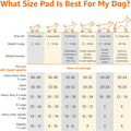 Amazon Basics Leak-Proof Dog and Puppy Potty Training Pee Pads with Quick-Dry 5-Layer Super Absorbent Design, Regular Size 22 x 22 inch, Blue & White, 100 Count