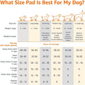 Amazon Basics Leak-Proof Dog and Puppy Potty Training Pee Pads with Quick-Dry 5-Layer Super Absorbent Surface for Dog Training, Floor Protection, Regular Size 22x22", Blue & White, 50 Count