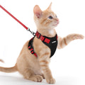 rabbitgoo Cat Harness and Leash Set, Escape Proof Vest, Black | Soft Breathable Mesh, Easy Adjustable Fit, Snap Buckles, Sturdy Clip, Reflective Strips, for Medium to Large Cats Walks, M