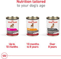 ROYAL CANIN Canine Health Nutrition Adult in Gel Dog Food, 13.5 oz (Pack of 12)