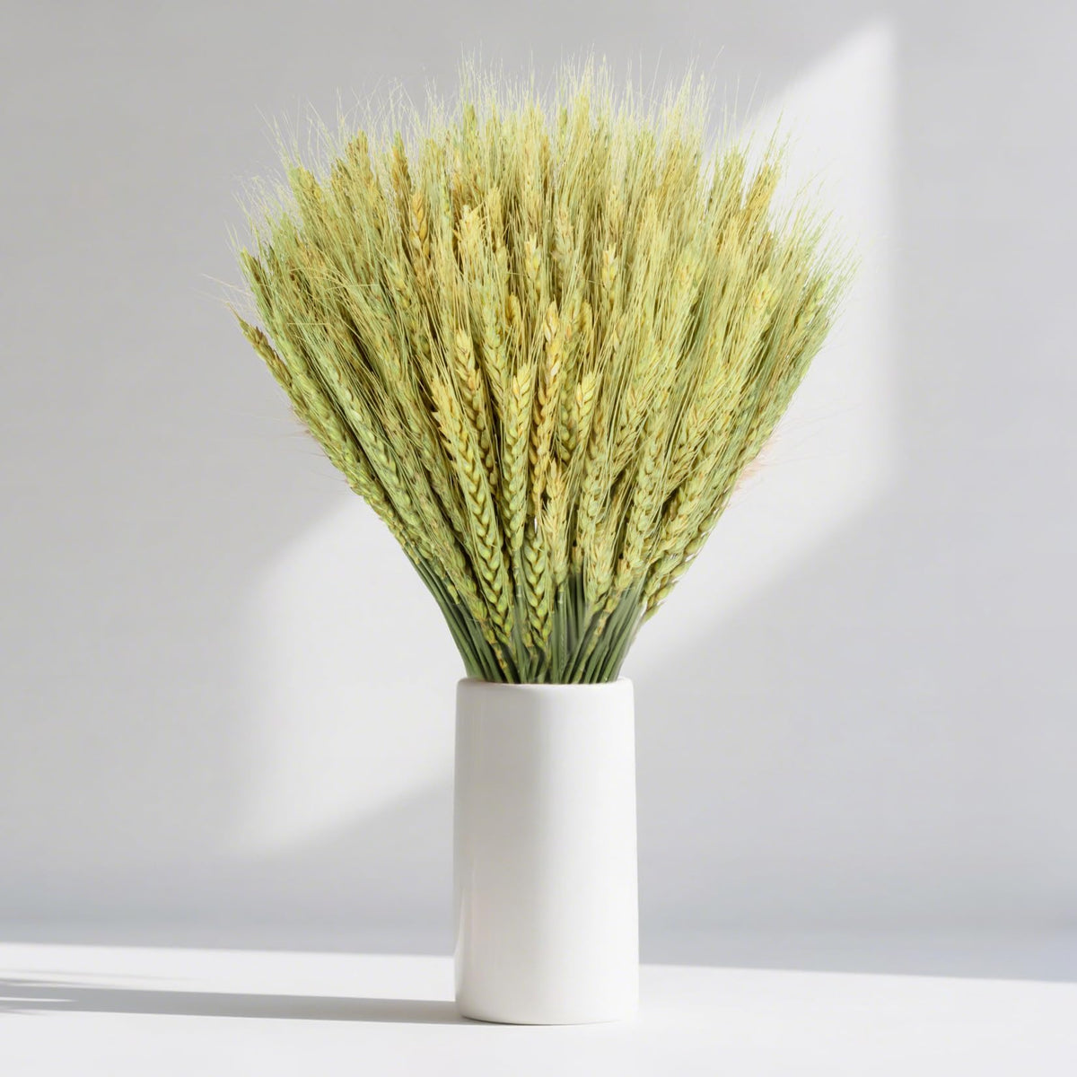 Sukh 100 Stems Dried Wheat Stalks - Boho Fall Decor for Home & Wedding