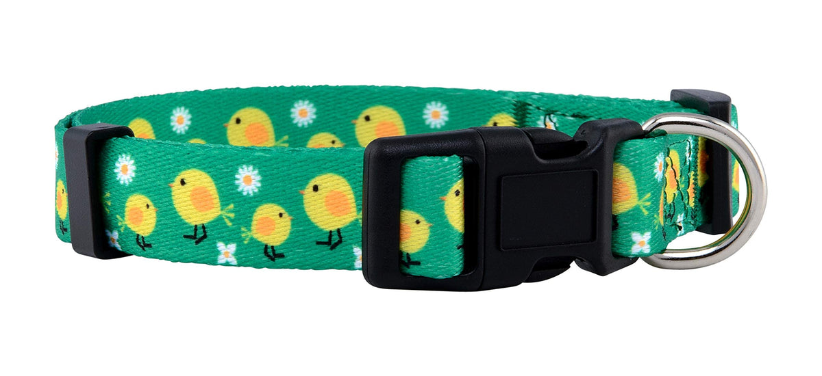 Native Pup Halloween Dog Collar- Spooky Fall Themed Horror Costume Collars- Skull, Pumpkin, Ghost, Bat, Witch, Candy Corn, Spider- Adjustable for Small, Medium, Large Breeds (Small, Big Pumpkins)