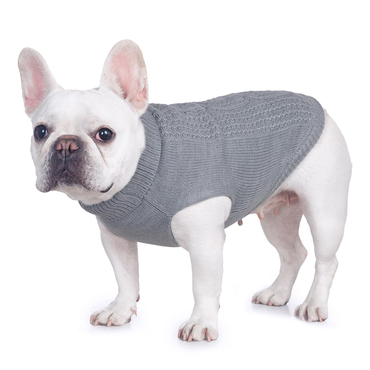 Cat Sweater Stretchy,19 Colors,6 Sizes,Snug Winter (Maple Leaf Red, Medium, Vest)