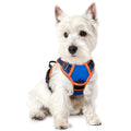 rabbitgoo Dog Harness No Pull with 2 Leash Clips, Adjustable Soft Padded, Reflective Oxford No Choke Pet Vest with Easy Control Handle for Medium Sized Dogs, Black, M
