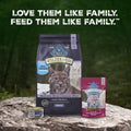 Blue Buffalo Wilderness with Chicken Natural High-Protein Grain-Free Dry Food for Adult Cats, Real Chicken First, Antioxidant-Rich LifeSource Bits Support Immunity, Promotes Strong Muscles, 12 lbs.
