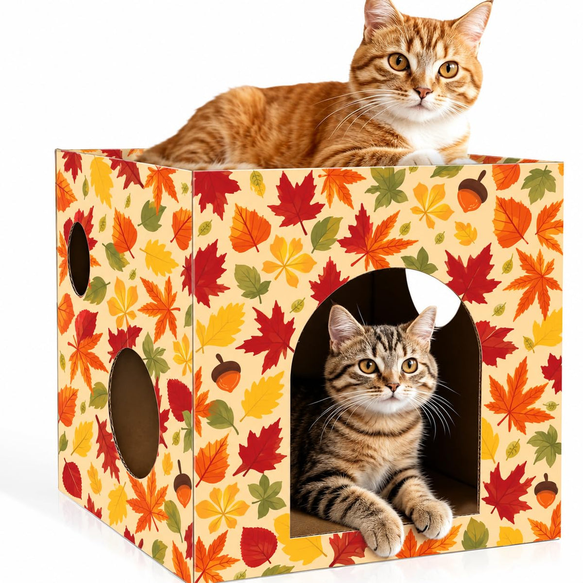 Cinrobiye Cardboard Cat House with Scratcher, Gothic Halloween Cat Scratcher Box with 2 Corrugated Scratch Pads, Open Top Indoor Cat Hideaway Bed for Cats and Kittens