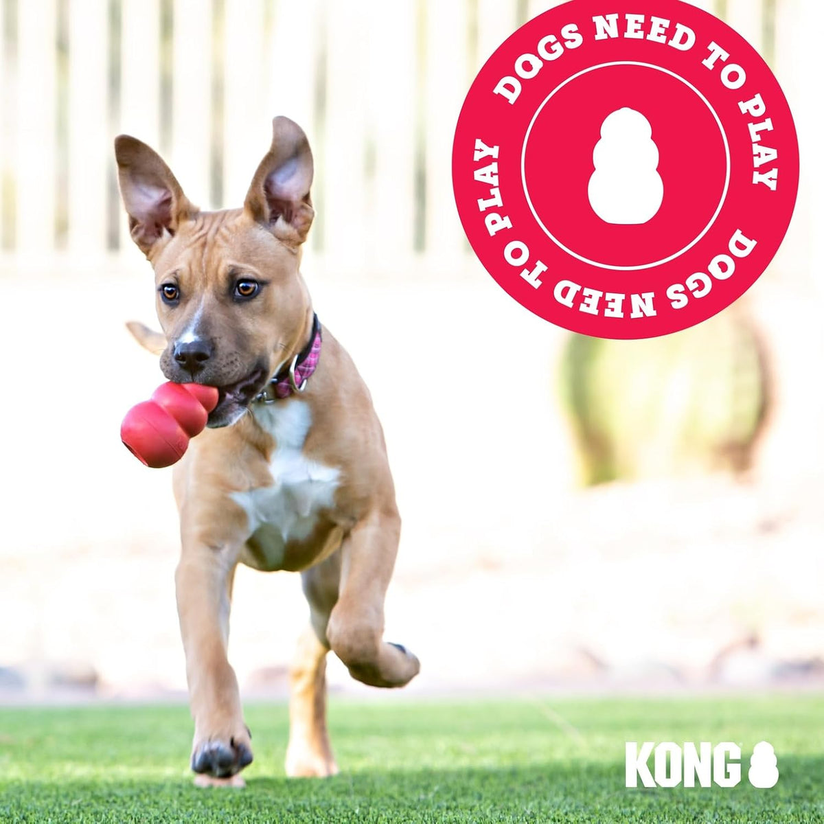 KONG - Extreme Goodie Bone - KONG's Most Durable Natural Rubber Dog Bone for Power Chewers - Black - For Medium Dogs