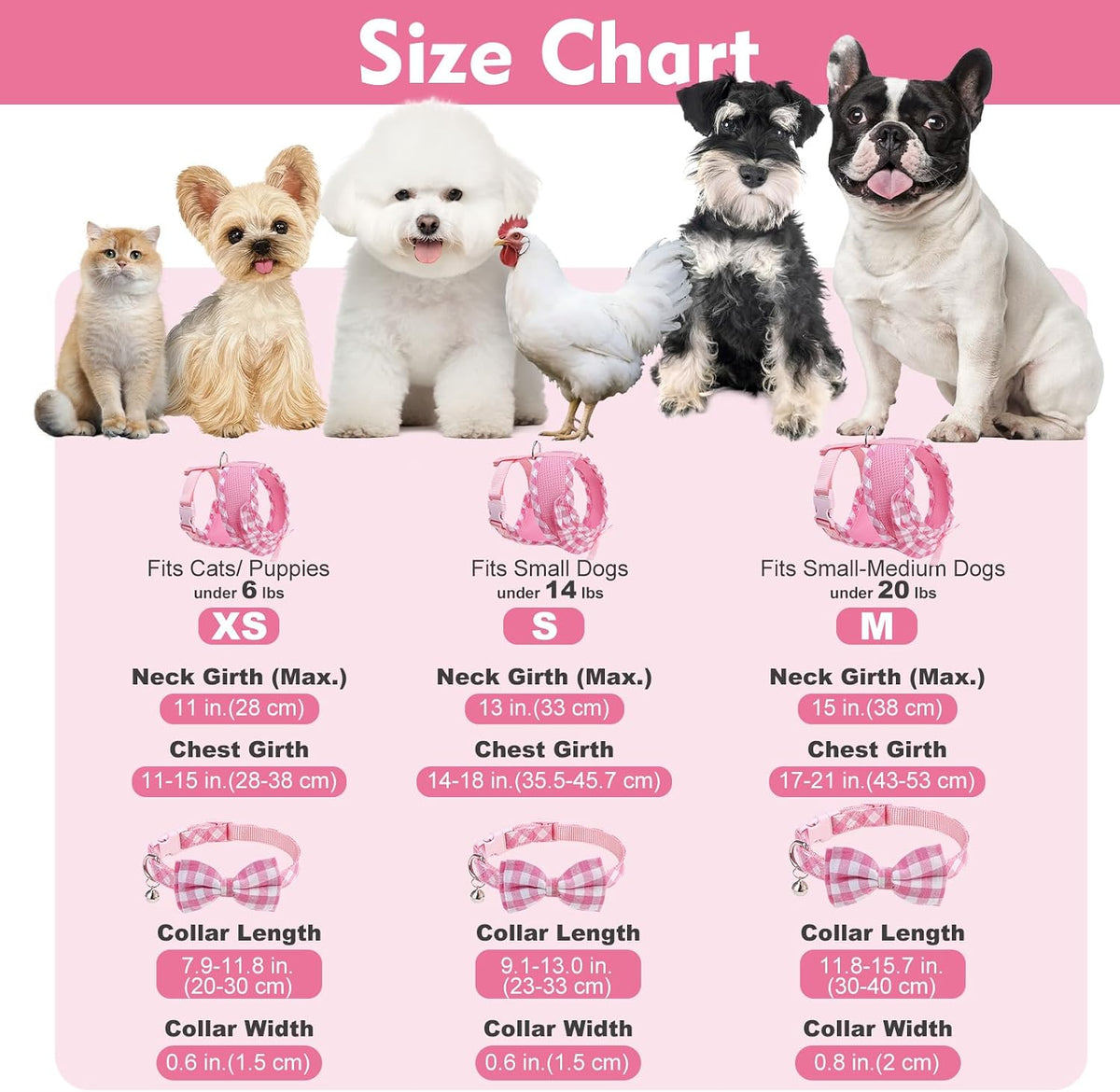 EXPAWLORER Step-in Dog Harness Small Sized Collar and Leash Set