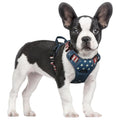rabbitgoo Dog Harness No Pull with 2 Leash Clips, Adjustable Soft Padded, Reflective Oxford No Choke Pet Vest with Easy Control Handle for Medium Sized Dogs, Black, M