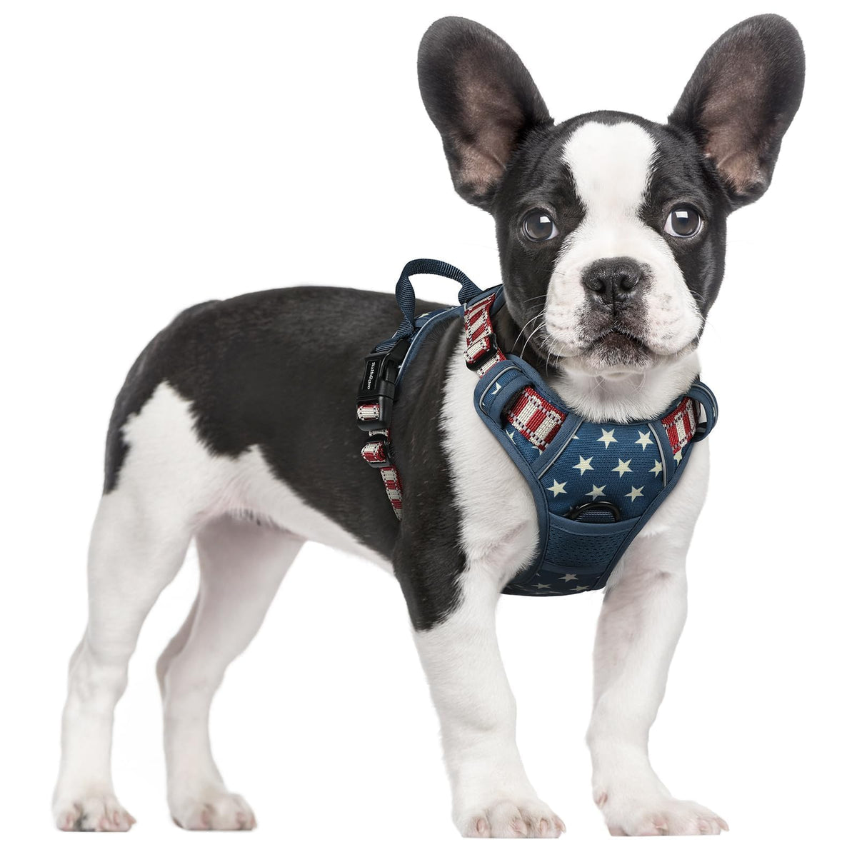 rabbitgoo Dog Harness No Pull with 2 Leash Clips, Adjustable Soft Padded, Reflective Oxford No Choke Pet Vest with Easy Control Handle for Large Dogs, Black, L