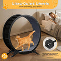 GTPLAYER Cat Wheels, 40" Diameter, Large Cat Exercise Wheel for Indoor Cats cat Treadmill Metal with Detachable Carpet & Teaser/Stickers, Ultra-Quiet Scroll Wheel with Latch, Safe and Stable Grey