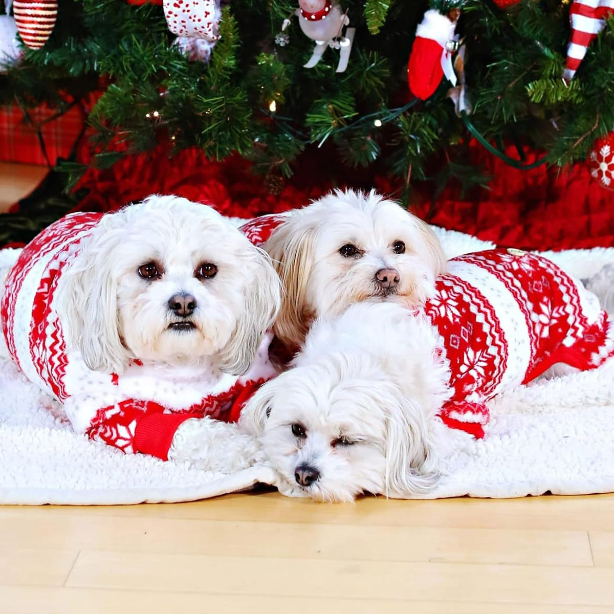 KYEESE Dog Christmas Pajamas for Small Dog Velvet Onesie with Red Snowflake