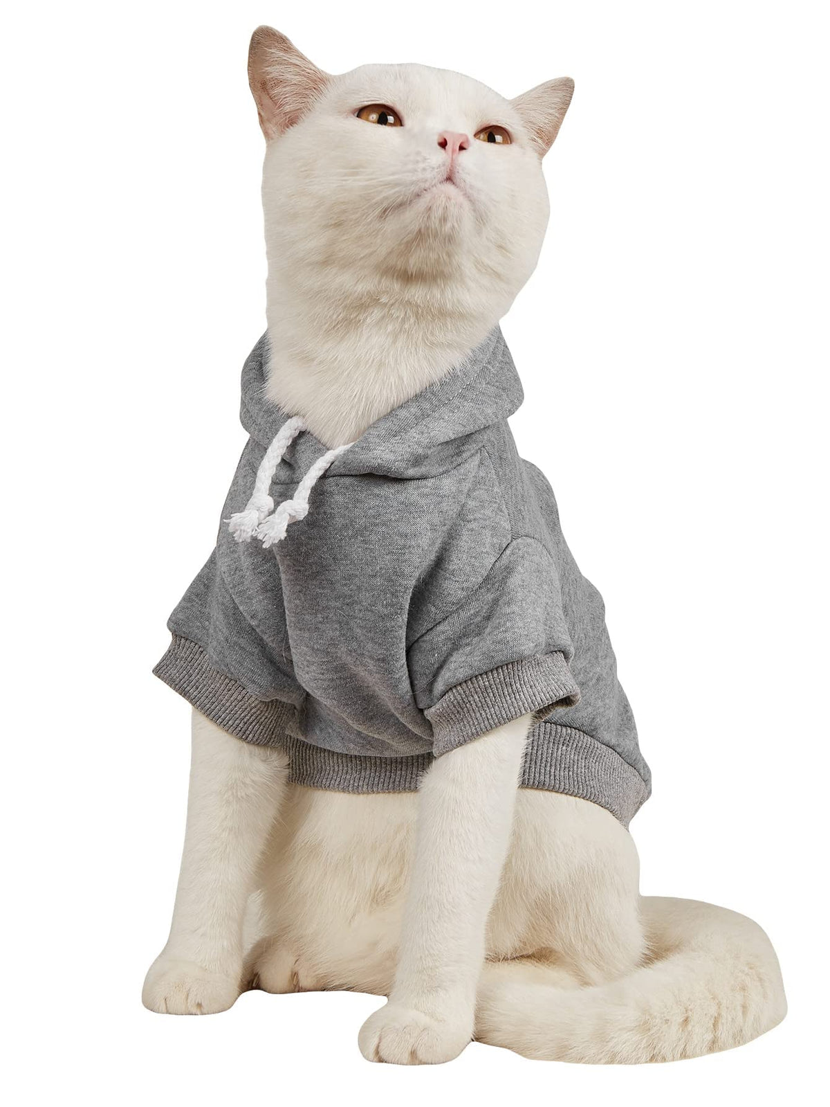 QWINEE Basic Dog Hoodie Sweatshirt Puppy Sweater Warm Cat Costumes Pet Clothes for Chihuahua Puppy Kitten Small Medium Dogs Cadet Blue Medium