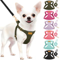 SlowTon No Pull Dog Harness with Leash for Small Medium Dogs, Flower XXS