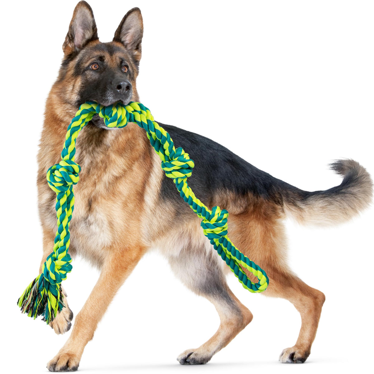SHARLOVY Large Tough Chew Toys for Aggressive Chewers Large Breed,Heavy Duty Dental Rope Toys Kit for Medium Dogs,5 Knots Indestructible Cotton Puppy Teething Chew Tug Toy Set of 9