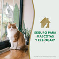Nature’s Miracle Urine Destroyer Plus for Cats, Enzymatic Formula Tough on Strong Cat Urine And The Yellow Sticky Residue, 1 Gal