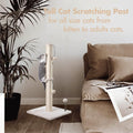 MECOOL 34” Tall Cat Scratching Post Premium Basics Kitten Scratcher Sisal Scratch Posts Trees with Hanging Ball for Indoor Cats, Beige