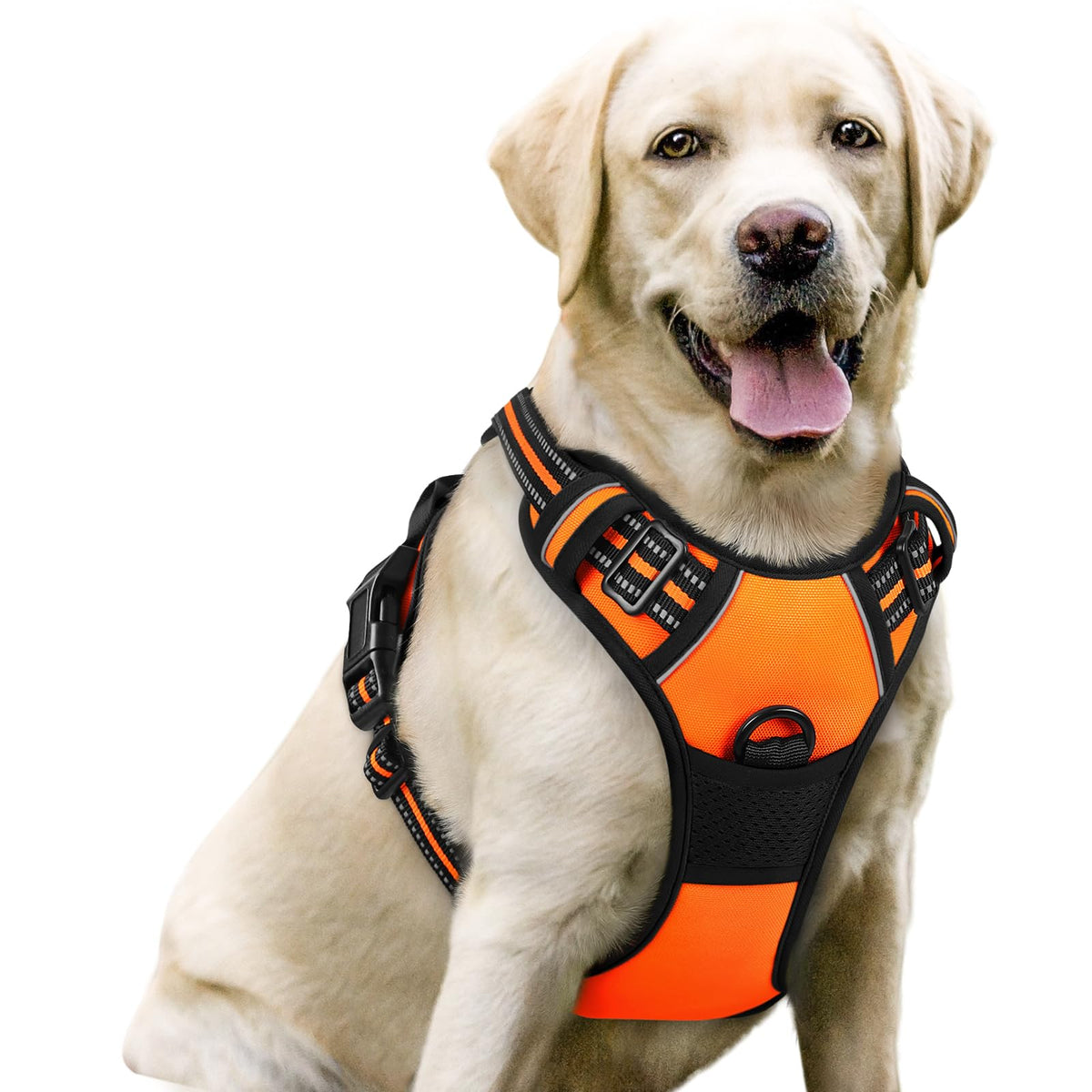rabbitgoo Dog Harness No Pull with 2 Leash Clips, Adjustable Soft Padded, Reflective Oxford No Choke Pet Vest with Easy Control Handle for Medium Sized Dogs, Black, M