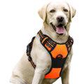 rabbitgoo Dog Harness No Pull with 2 Leash Clips, Adjustable Soft Padded, Reflective Oxford No Choke Pet Vest with Easy Control Handle for Large Dogs, Black, L