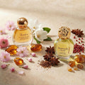 Charrier Parfums 10 Eaux de Parfum Luxurious Gift Box - Made in Provence, France - 57.8 ml