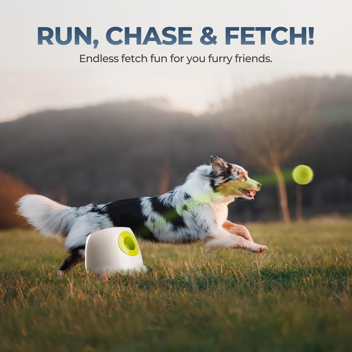 ALL FOR PAWS Automatic Dog Ball Launcher, Interactive Fetch Toy for Medium to Large Dogs, Rechargeable Pet Ball Thrower Machine for Outdoor Play, 6 Pcs 2.5-Inch Balls Included