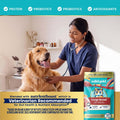 Solid Gold Bison Dry Dog Food for Large Dogs – High Protein, Whole Grain Kibble with Real Bison, Brown Rice & Omega 3 – Large Kibble w/Probiotics for Gut Health - Adult Dog Food - Nutrientboost™–22LB
