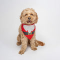 Santa Claus Costume Christmas Dog Bandana | 100% Cotton | Made in USA |Gift |Red, OS (1166)