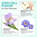 Moisturizer Collagen Anti-Aging Face Cream with Stem Cells, Retinol, Hyaluronic Acid & Niacinamide - Hydrating Day & Night Wrinkle Cream for All Skin Types - Airless Pump - Made in USA - 1.7Oz