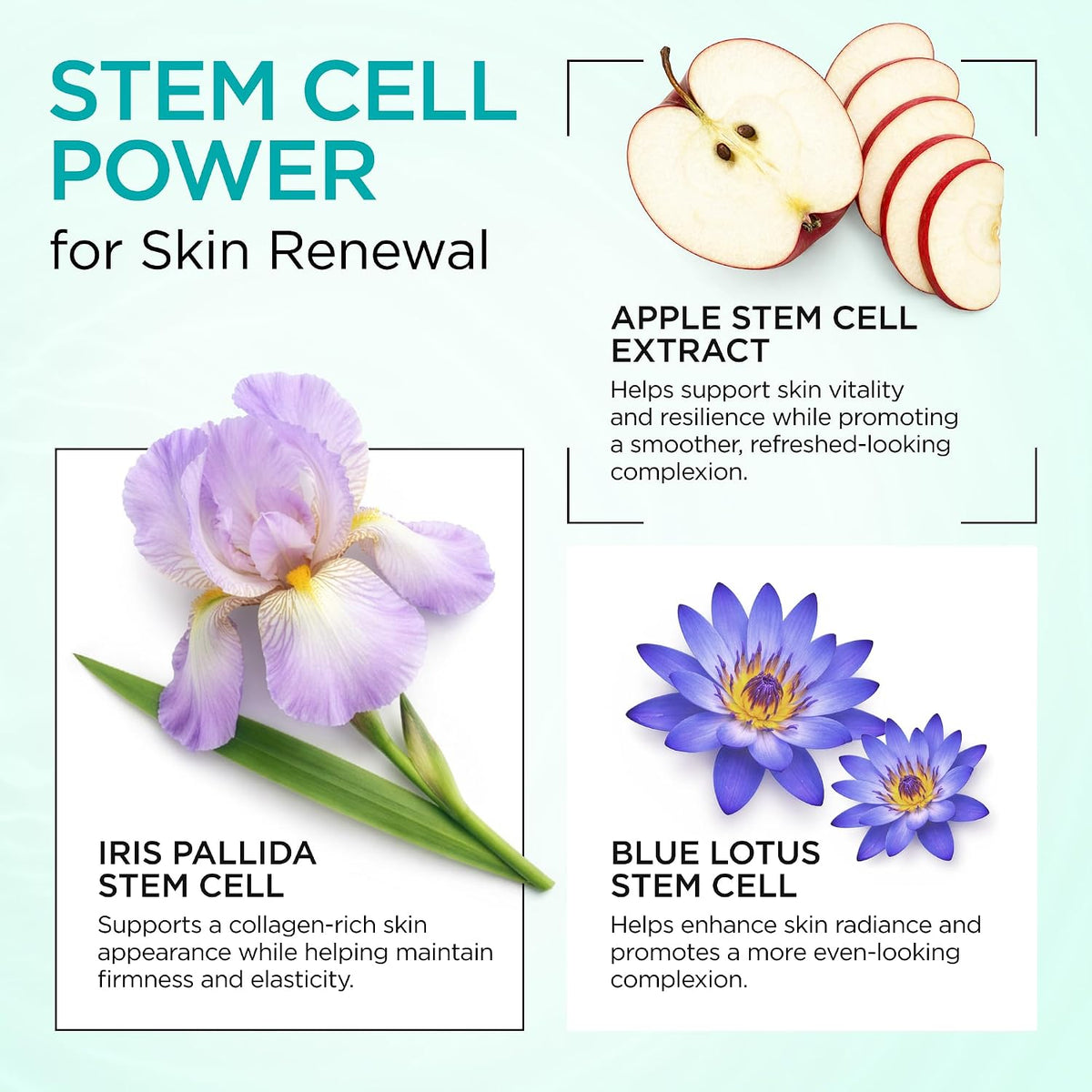 Moisturizer Collagen Anti-Aging Face Cream with Stem Cells, Retinol, Hyaluronic Acid & Niacinamide - Hydrating Day & Night Wrinkle Cream for All Skin Types - Airless Pump - Made in USA - 1.7Oz