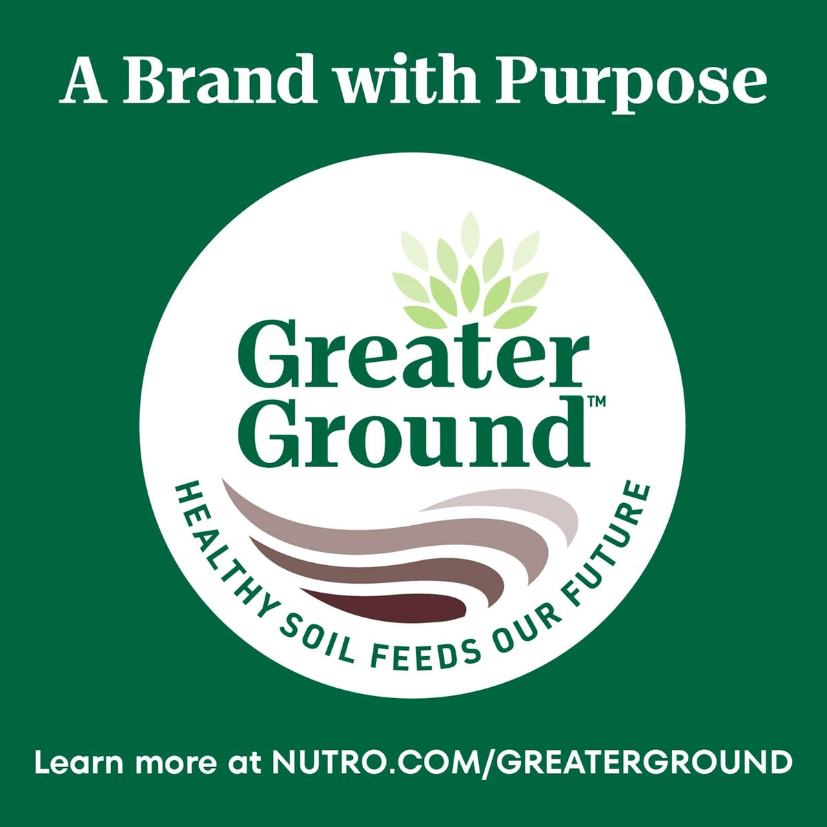 Nutro Wholesome Essentials Dry Cat Food, Indoor Cat Food Dry Chicken & Brown Rice Recipe, 14 lbs.