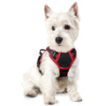 rabbitgoo Dog Harness No Pull with 2 Leash Clips, Adjustable Soft Padded, Reflective Oxford No Choke Pet Vest with Easy Control Handle for Medium Sized Dogs, Black, M