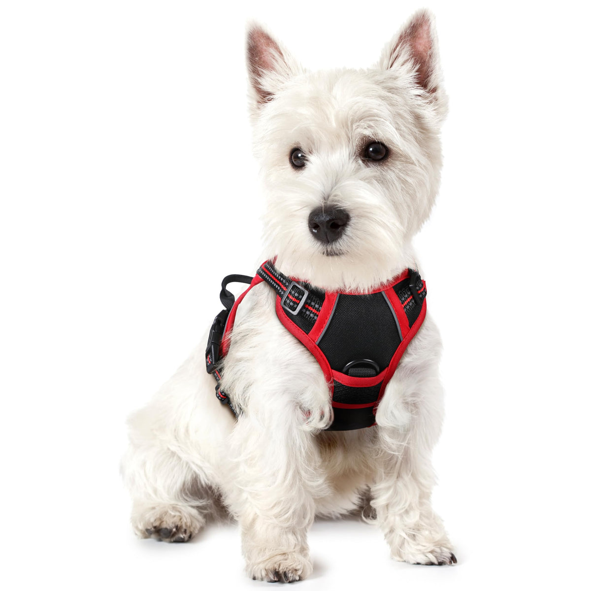 rabbitgoo Dog Harness No Pull with 2 Leash Clips, Adjustable Soft Padded, Reflective Oxford No Choke Pet Vest with Easy Control Handle for Large Dogs, Black, L