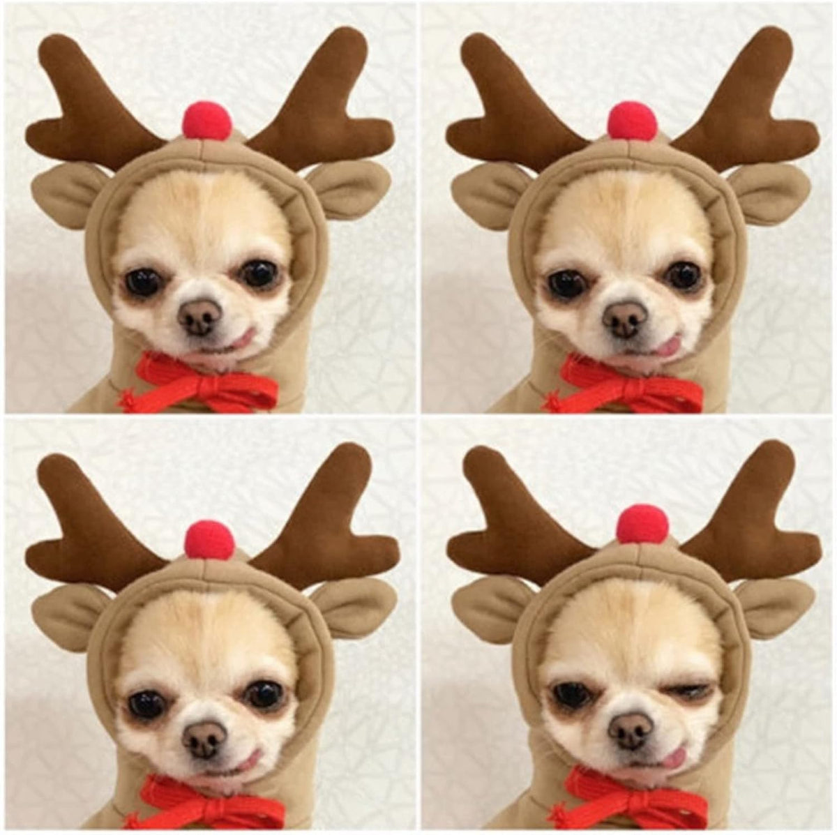 Warm Cute Dog Hoodie Clothes Winter Cute Coat, Coffee Reindeer L