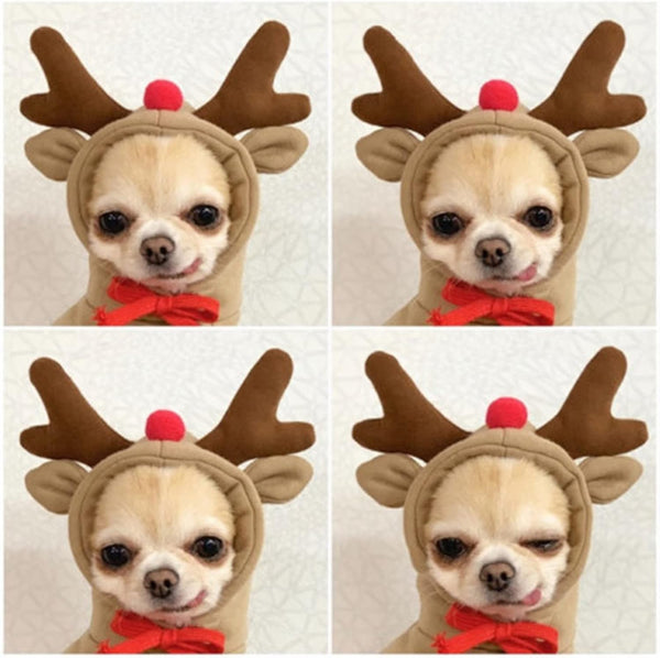 Warm Cute Dog Hoodie Clothes Winter Cute Coat, Coffee Reindeer L