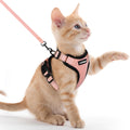 rabbitgoo Cat Harness and Leash Set, Escape Proof Vest, Black | Soft Breathable Mesh, Easy Adjustable Fit, Snap Buckles, Sturdy Clip, Reflective Strips, for Small & Average Cats Walks, Xs