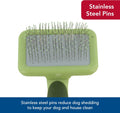 Coastal Pet Safari Dog Soft Slicker Brush - Dog Grooming Brush for Shedding - for Dogs with Short, Medium and Long Hair - Small - 6.5" x 2.5"