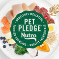 Nutro Ultra Dry Dog Food for Adult Dogs with a Trio of Proteins from Chicken, Lamb and Salmon, 30 lb. Bag
