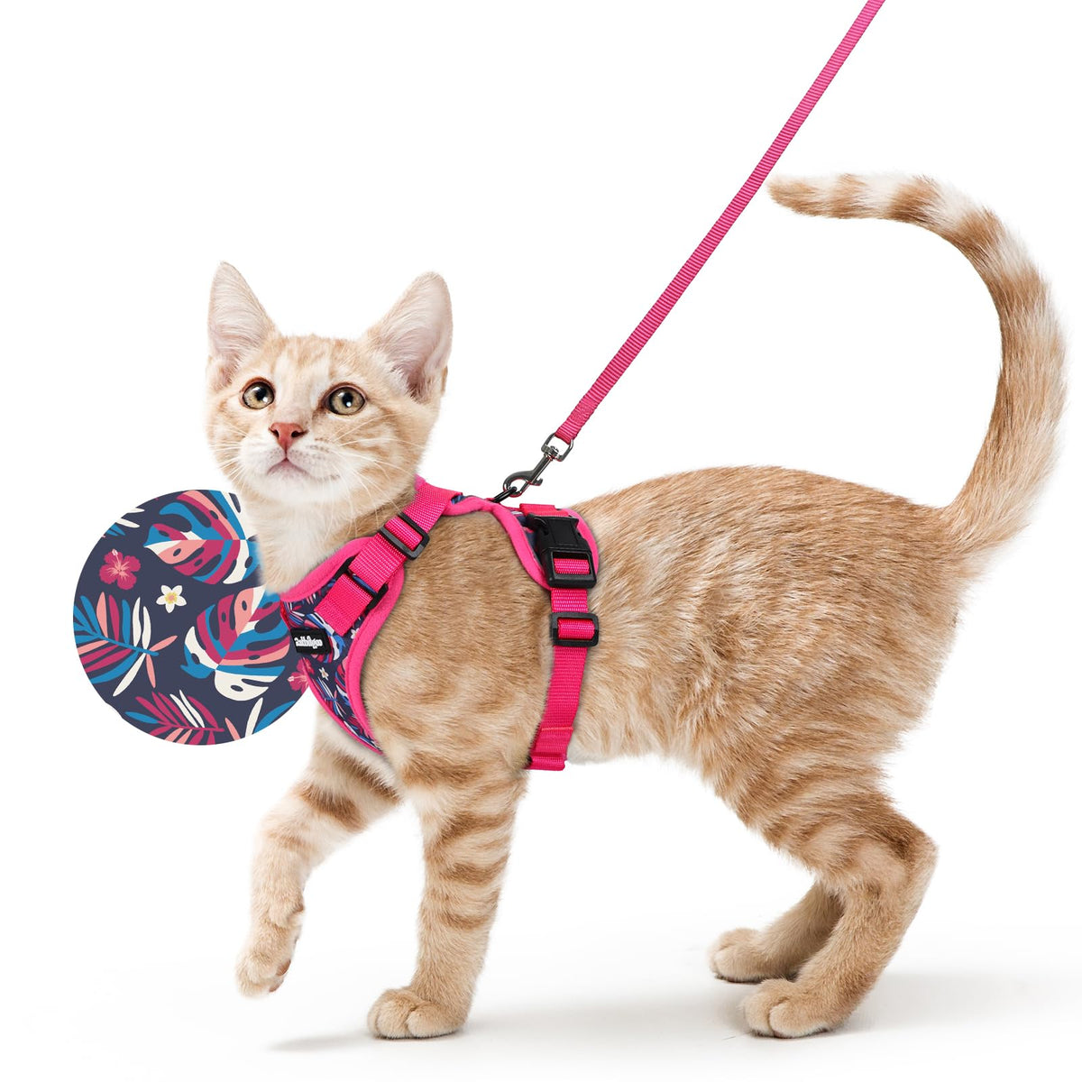 rabbitgoo Cat Harness and Leash Set, Escape Proof Vest, Black | Soft Breathable Mesh, Easy Adjustable Fit, Snap Buckles, Sturdy Clip, Reflective Strips, for Small & Average Cats Walks, Xs