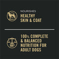 Purina Pro Plan Complete Essentials Wet Dog Food Chicken and Rice Entree and Beef and Rice Entree Variety Pack - (Pack of 12) 13 oz. Cans