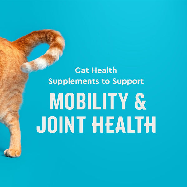 VetIQ Hip & Joint Supplement for Cats, Chicken Flavored Joint Health Supplement with Glucosamine and Green Lipped Mussel for Mobility and Arthritis Support, 3.7oz